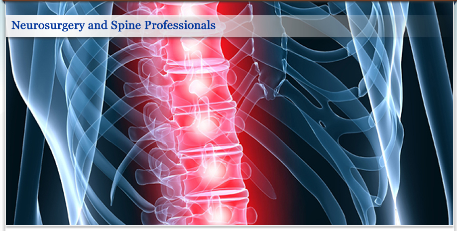 Neurosurgery and Spine Professionals